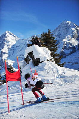 inferno_2013_riesenslalom_023.jpg